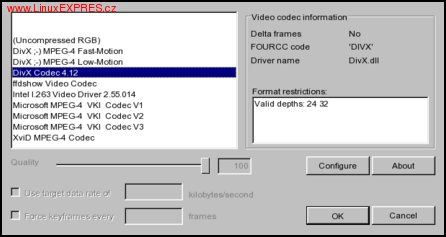Obrázek: Seznam dostupných kodeků při volbě Video-Compression