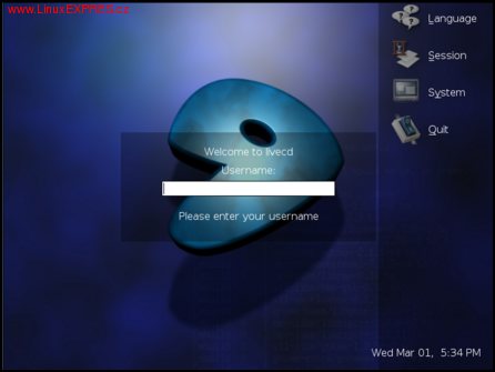 Obrázek: Přihlašovací obrazovka z Xnest
